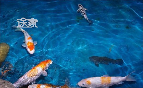 西安海洋馆旅游 2014西安海洋馆游玩攻略-途家