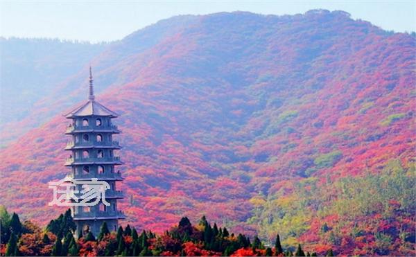 济南好玩的景点有哪些 济南必去景点有哪些-途