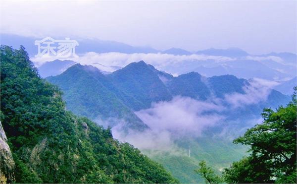 正文 白雲山國家森林公園的總面積為168平方公里,這裡山峰眾多,僅海拔