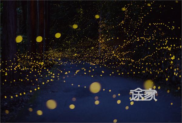 201407111246177760.jpg