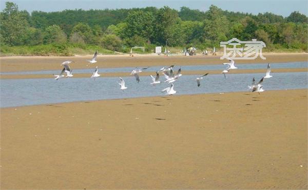2014秦皇岛秋季旅游景点推荐 秦皇岛秋季旅游